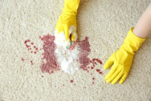 How to Remove Stubborn Stains from Carpets in Park City Homes